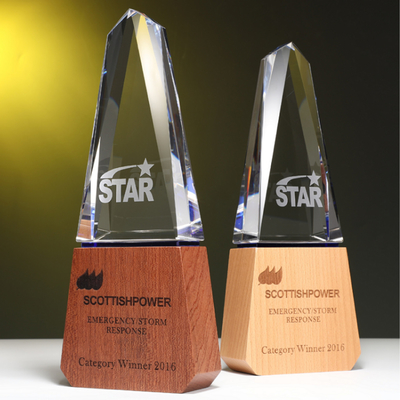 Trofei di resina personalizzati Trofeo di combinazione di cristallo e legno massello