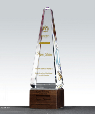 Trofei di resina personalizzati Trofeo di combinazione di cristallo e legno massello