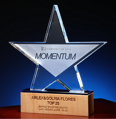Trofei in resina personalizzati a base di legno Trofeo in cristallo personalizzato